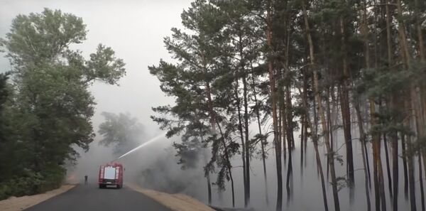 Луганская область пожар лес