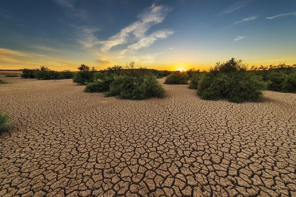 Засуха пустыня