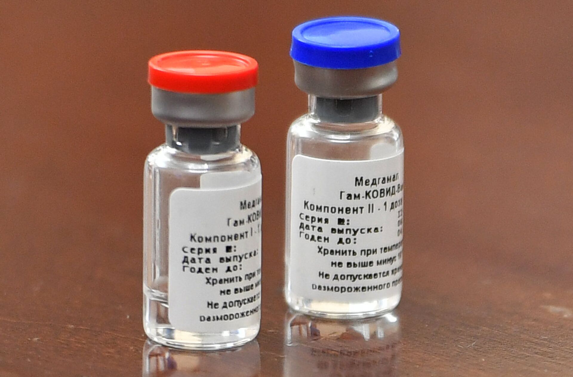 Брифинг, посвященный первой в мире зарегистрированной вакцине от COVID-19 - РИА Новости, 1920, 17.11.2020