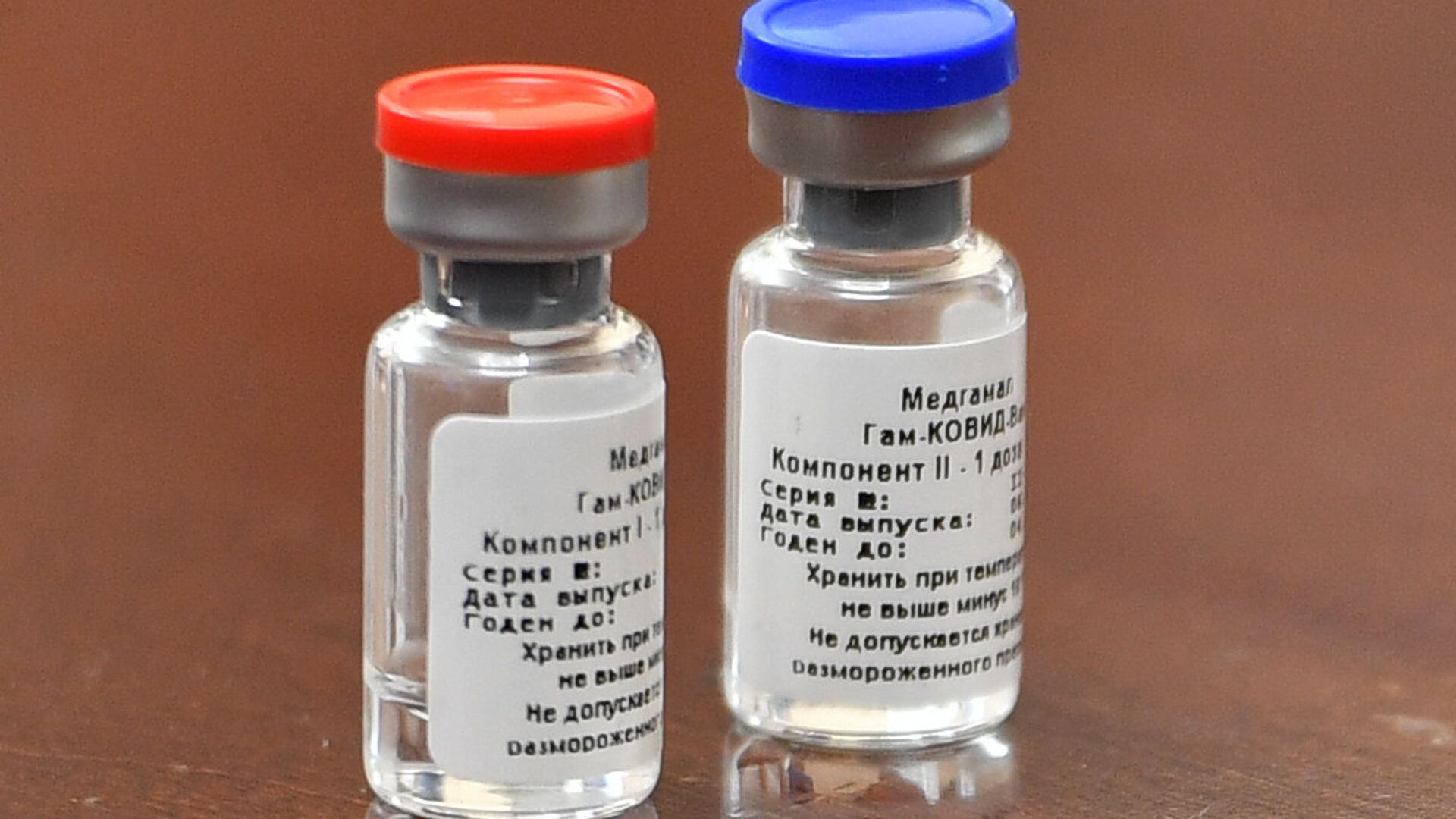 Брифинг, посвященный первой в мире зарегистрированной вакцине от COVID-19 - РИА Новости, 1920, 18.10.2020