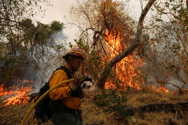 Лесные пожары в Калифорнии США