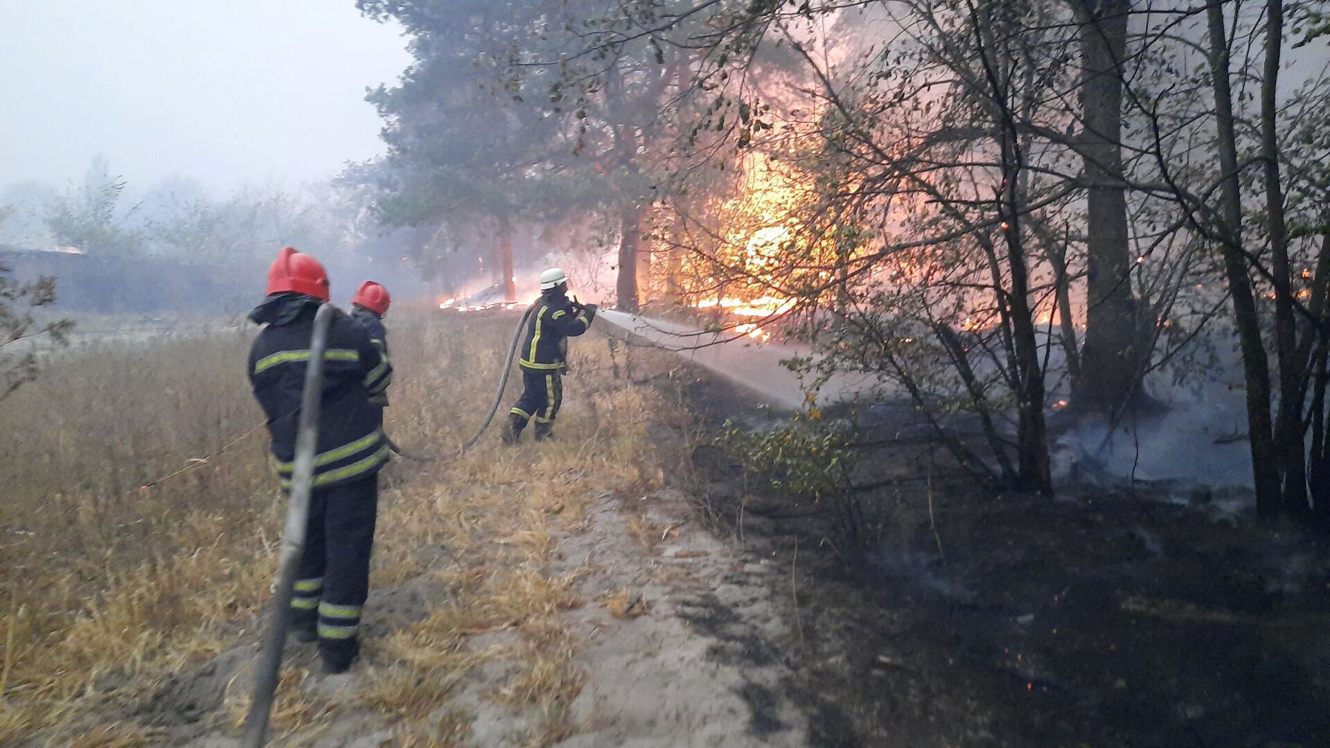 Сиротино Луганская область пожар