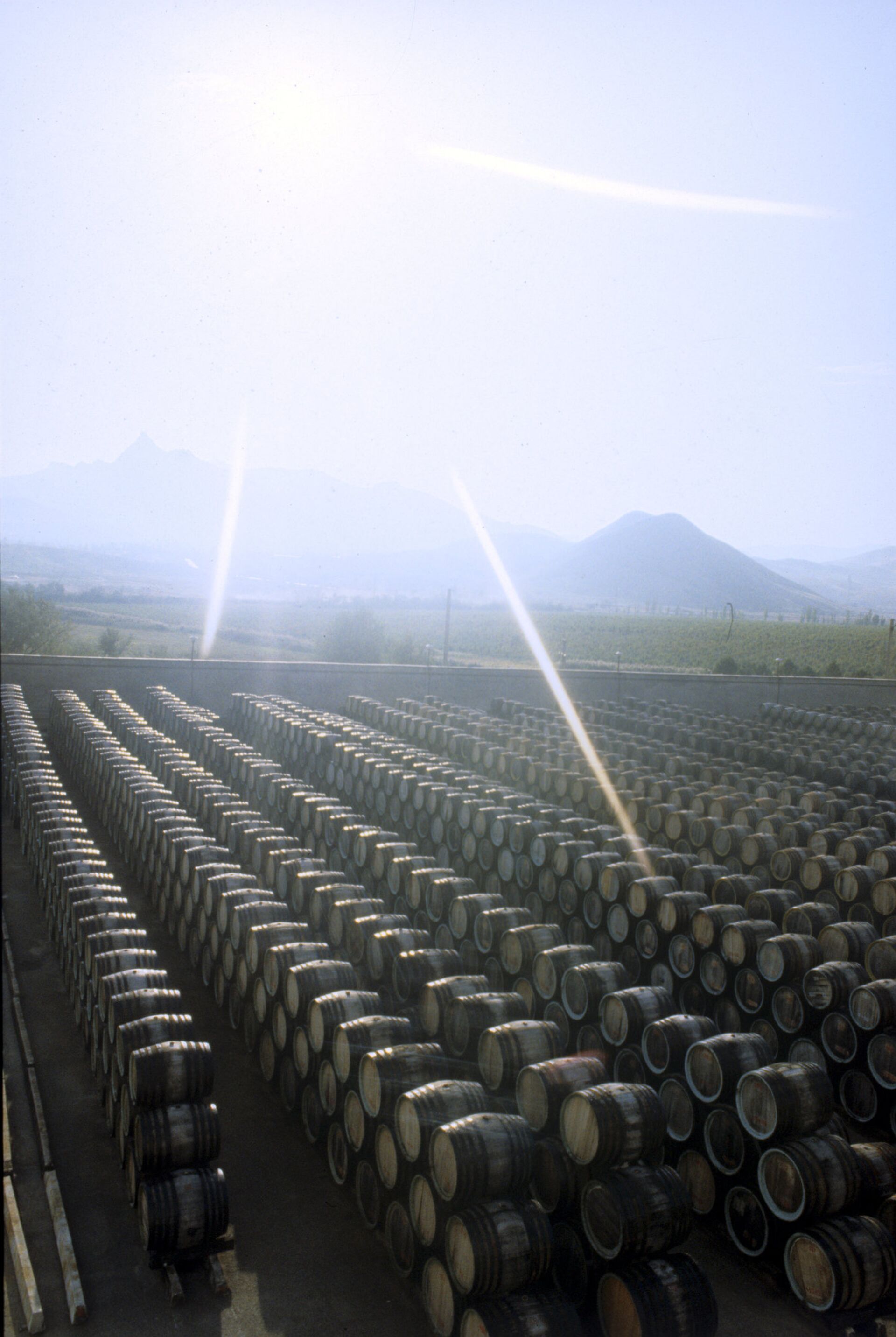 Дубовые бочки с вином на мадерной площадке Совхоза-завода Коктебель.  - РИА Новости, 1920, 14.02.2026