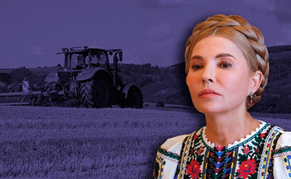 Тимошенко земля коллаж