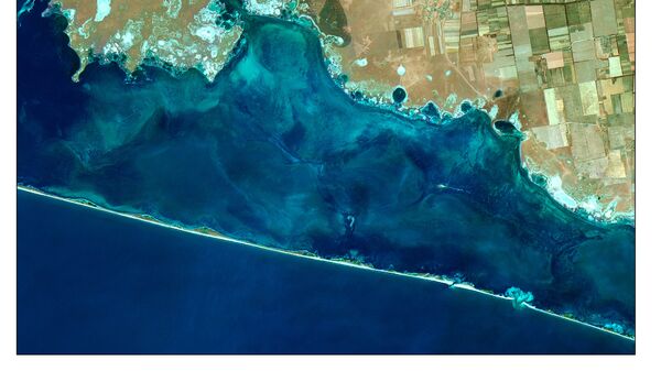 Британцы попытались атаковать в Херсонской области, Главное на утро 1 августа