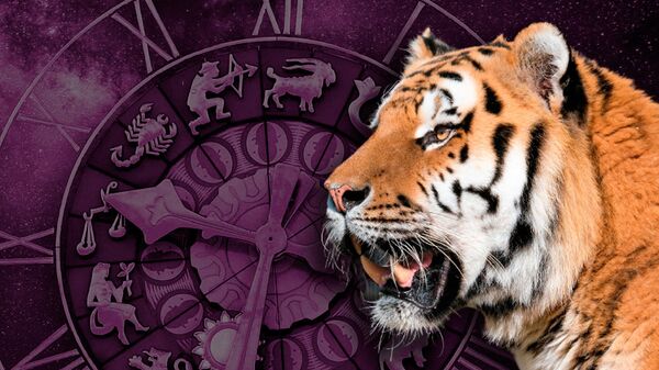 Год тигра астрология
