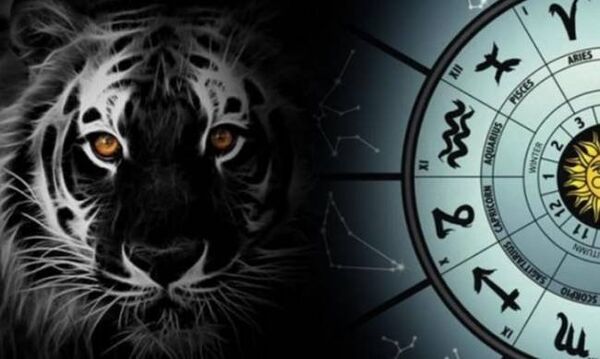 черный тигр, астрология