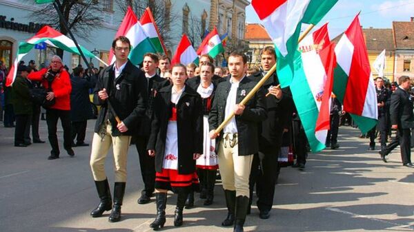 Венгры Закарпатье флаг