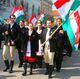 Венгры Закарпатье флаг