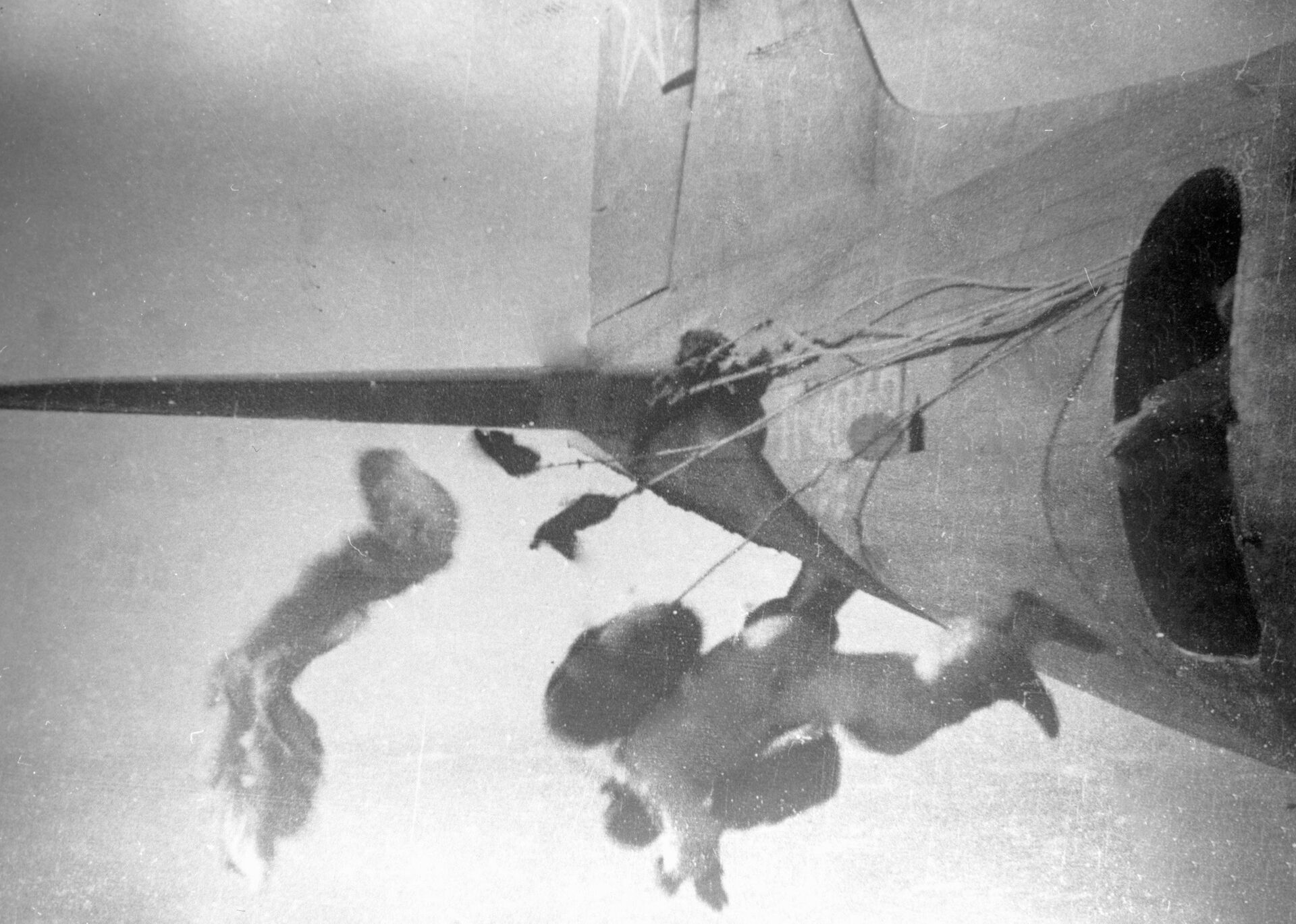 Советские парашютисты десантируются из самолета. Украина. - РИА Новости, 1920, 31.05.2022