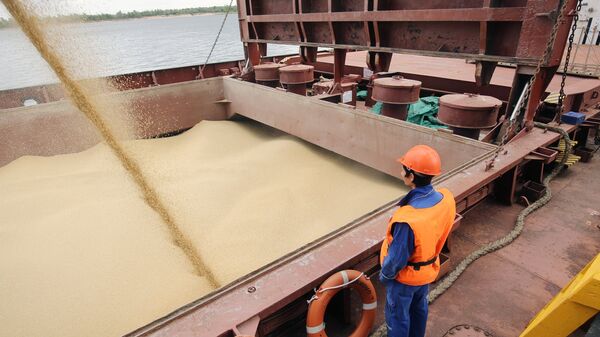 Волгоградские аграрии увеличивают отгрузку зерна на экспорт