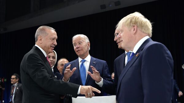 Эрдоган Байден Столтенберг Джонсон саммит НАТО